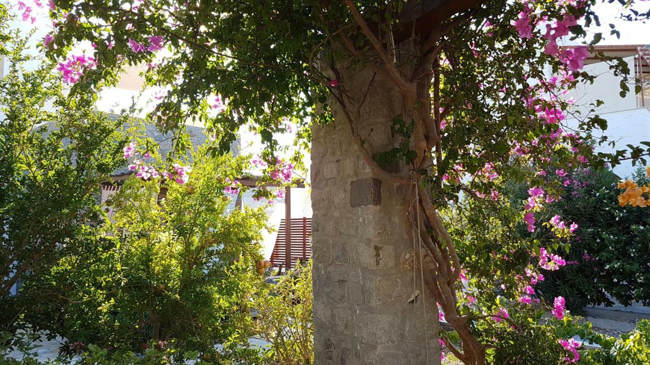 Villa Patmos Netia Скала Екстер'єр фото